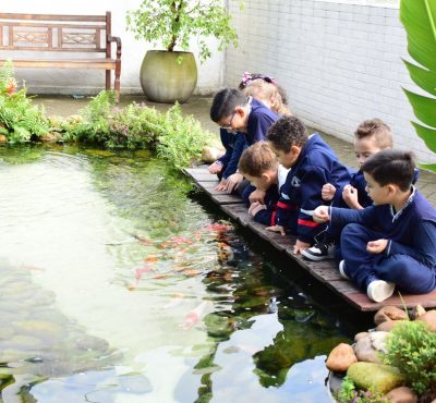Educação Infantil (3)